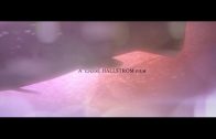 Salmon Fishing in The Yemen Title Sequence by Momoco